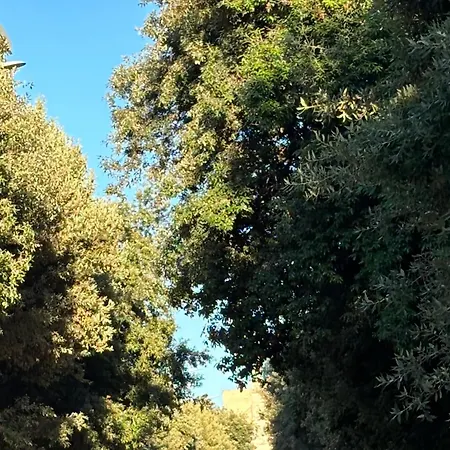 بيت للعطل L'officina Di Tommy ليتشي